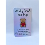 Bear Pocket Hug